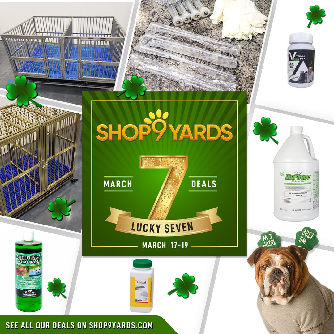 first companion antifungal shampoo