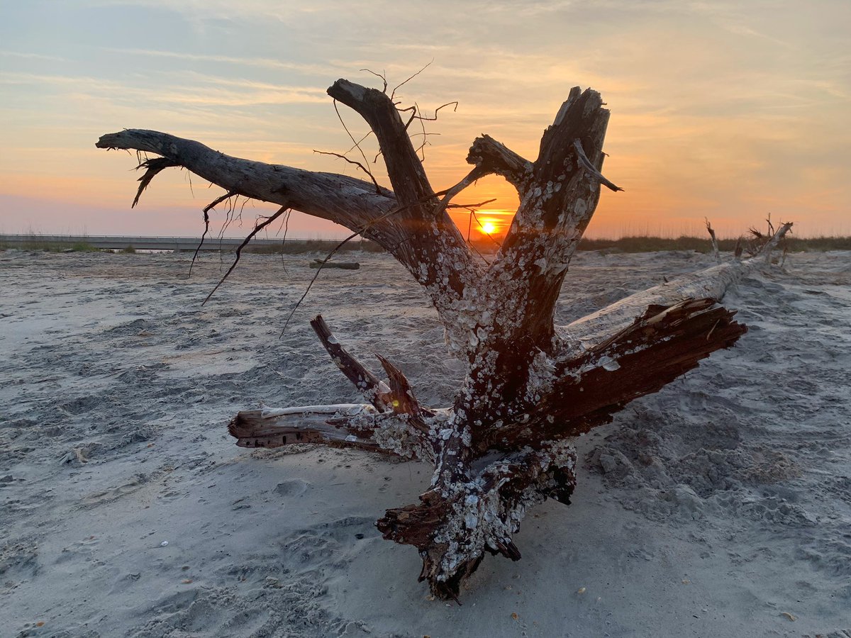 SullivanArtCo's tweet photo. @RSullPhoto and I spent the afternoon at Matanzas Bay since we’ve been working a lot lately. The water was still a bit on the chilly side, but you can’t beat the view. #florida #beach #atlanticocean #a1a #matanzasbay #sunset https://t.co/judIhTOvsv
