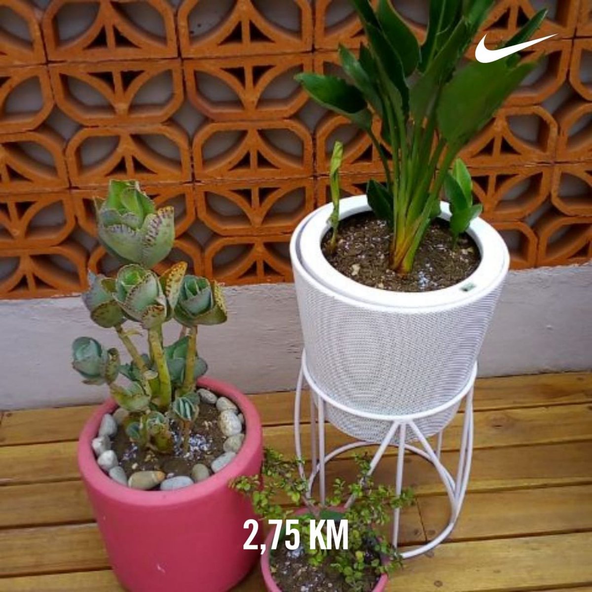 LaAleRunner's tweet photo. Solo salí a estirar las piernas y pensando muy seriamente hacer bici fija en casa 🚴‍♀️
Día 75 de 366 #RetoCobarde
#LaHumildeWeraDeRodillaCarismatica🤭
#2020KmsEn366Días
#LosCobardesTeam
#PorqueSóloLosCobardesCorren
#SomosAcide
#NutriJiso
#GymWater
Hoy #Yoelegícorrer
#SomosDeporteMx https://t.co/UXbaJBg1XU