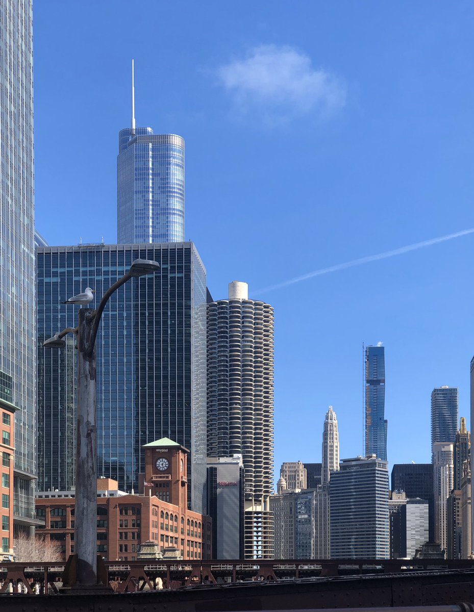 Chitography312's tweet photo. A seagul &amp; a flamingo-float amidst quiet Chicago streets, today #coronapocolypse #COVIDー19 #coronavirus #ShutItDown #CoronaVirusUpdates #Chicago https://t.co/jLrQIkQPxI