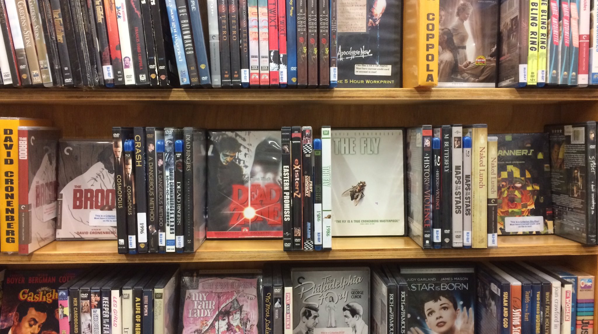Happy 77th birthday to David Cronenberg! Check out his films from our Directors Wall today!  