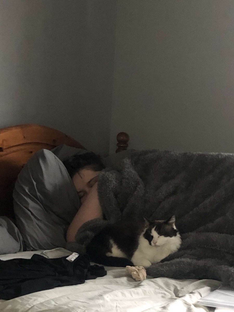 HepburnJay's tweet photo. Sundays spent the best way...napping with my best friend 🥰 https://t.co/kfPGSYcGUZ