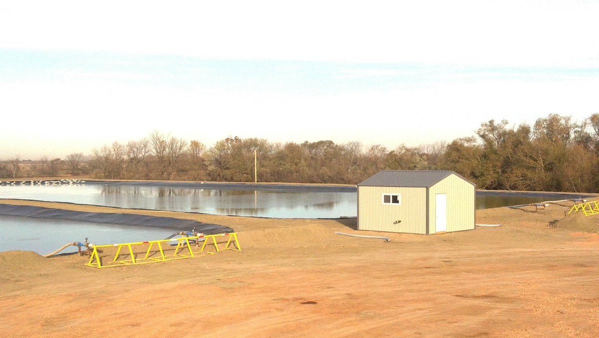 10MM God's Caliber tweet media