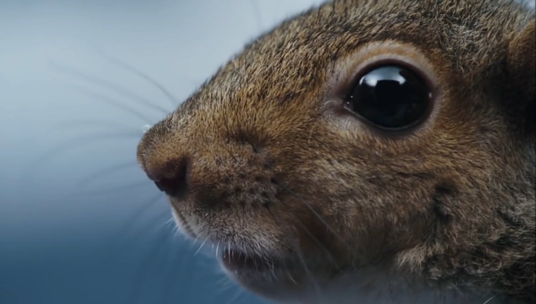 Testament tweet media