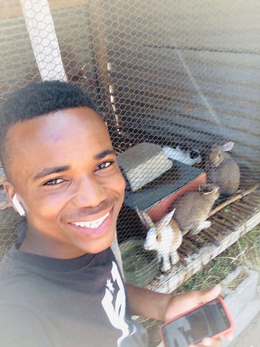 chival's tweet photo. Vivendo com coelhinhos 🐰 https://t.co/4v6414ssmM