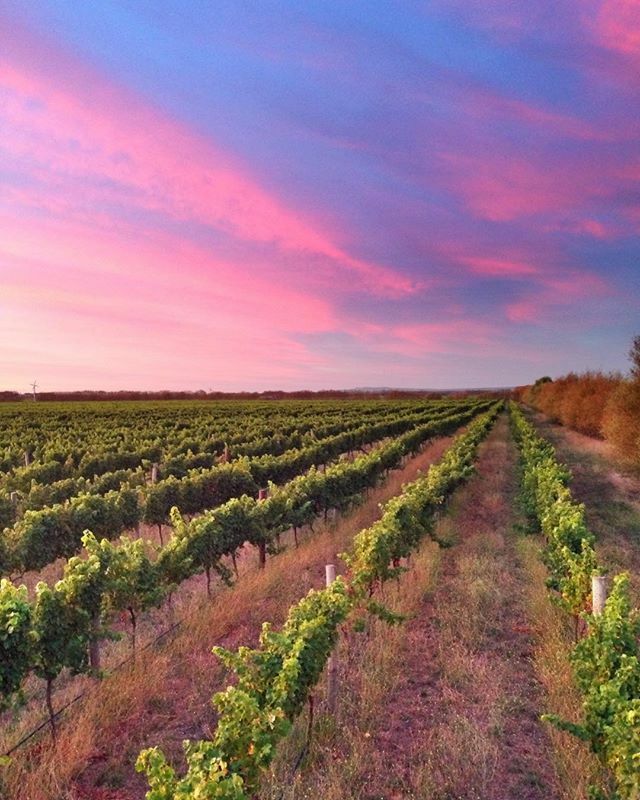 There’s nowhere safer.
#coronavirus ift.tt/2wVEKFQ