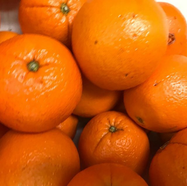 The WTFCoop will be SHUT on Monday. There is very little left to sell and we want to make sure we take a few days to a deep clean. Back open at 2:30 on Thursday. Stay healthy everyone!! ift.tt/3aXY6sv