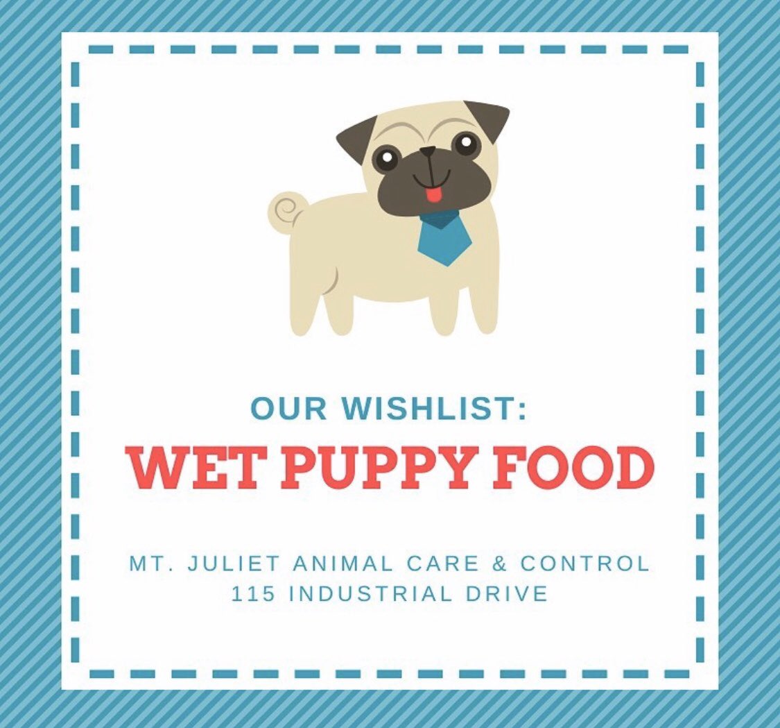 MJASVO's tweet photo. With 7 puppies at the shelter, we are getting extremely low on wet puppy food. A link is attached for our amazon wishlist but they don’t have many left in stock. We also accept donations during our open hours Tuesday-Thursday 11:30 AM-5:30 PM 🐶  https://t.co/aVJxkCvIV4 https://t.co/iWKfRomimo