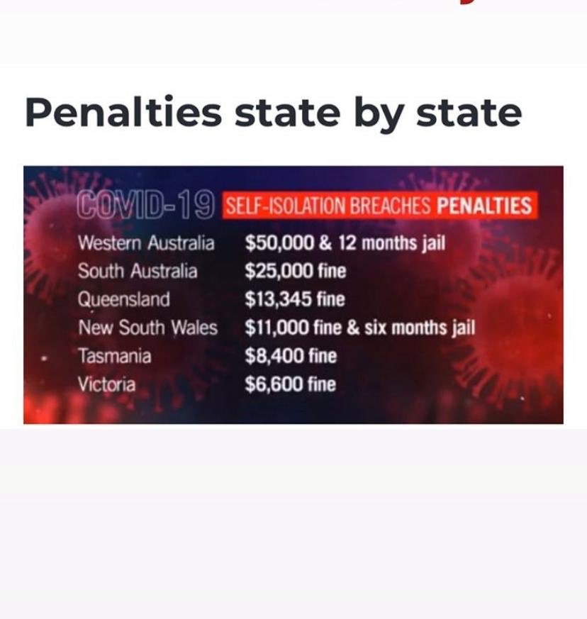 zockys's tweet image. Е ај сега не се придржувај до наредбата за самоизолација...