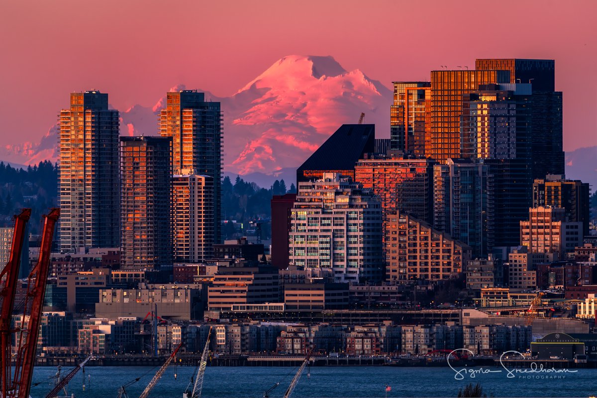 sigmas's tweet photo. A gorgeous, but cold day in #Seattle, that ended with a beautiful #sunset.  Mount Baker and the downtown buildings bathed in the golden pink light from the setting sun, as seen from my home in #WestSeattle. #SocialDistancingSavesLives https://t.co/pcuBKvvQt8