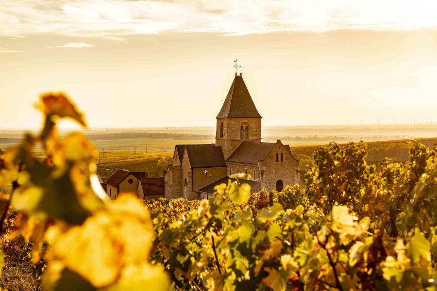 Real_Life_Mag_SA tweet media