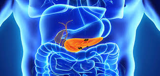 EuroPancreas's tweet photo. Visit: https://t.co/4RvQQJhDuc
Interested speakers can text us WhatsApp+1-873-889-8976
#Gastroenterology #intestinal #hepatitis #cancers #pancreatics #endoscopy #digestivediseases #liver_diseases #kidneyfailure #gut #bladdercancer #immunology #inflamation #gastricfluids #tumor https://t.co/tZbGrGQigV