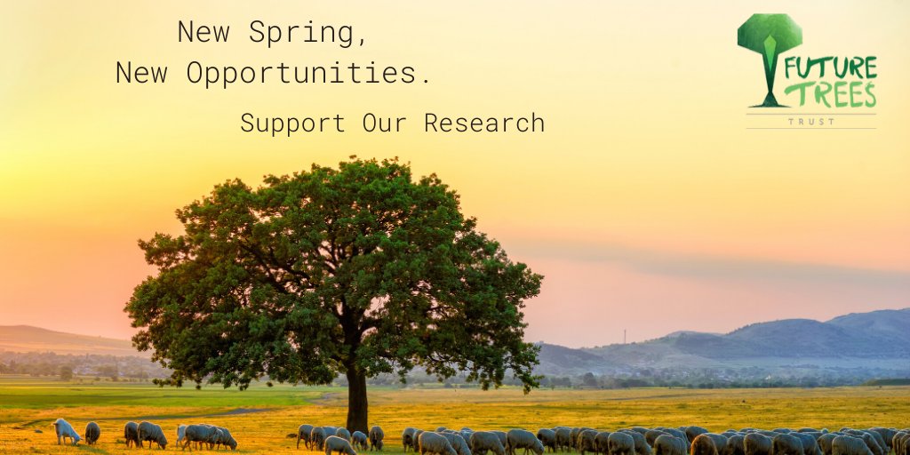 FutureTreesUK's tweet image. You can make a difference to the UK&apos;s Broadleaf trees.
Get in touch if you would like to know more. buff.ly/2lUeypL #FutureTrees #Treeresearch #MondayMotivation