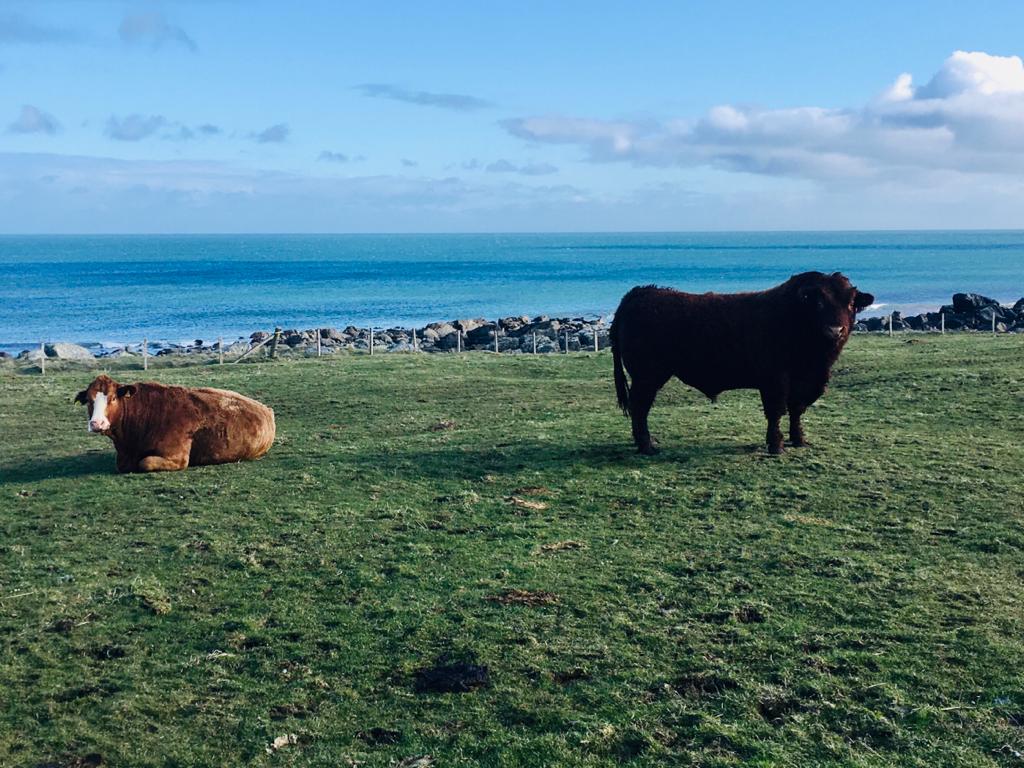 Rebecca51169207's tweet photo. Day 4 @tireefitness training camp was very #windy but bright &amp; #sunny. Individual run analysis, beachcombing running intervals, abs pilates session &amp; a 10k #run home to finish. 😊👌 #exhilerating #tiree #hebrides #runchat @wildaboutargyll @Argyll_IslesApp @runnersworld https://t.co/6ZvB7aGYQh