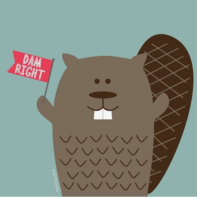 Oh blimey, it's Monday again. Can we do this? ⁠
DAM RIGHT WE CAN. 💪🏻 ⁠
⁠
⁠
⁠
⁠
⁠
#beaver #damnright #animalpun #pun #funnyillustration #ukillustrator #illustration #illustrator #vector #graphicdesign #adobe  #graphicdesigner #vectorart #digitalar… ift.tt/2w1z6SF