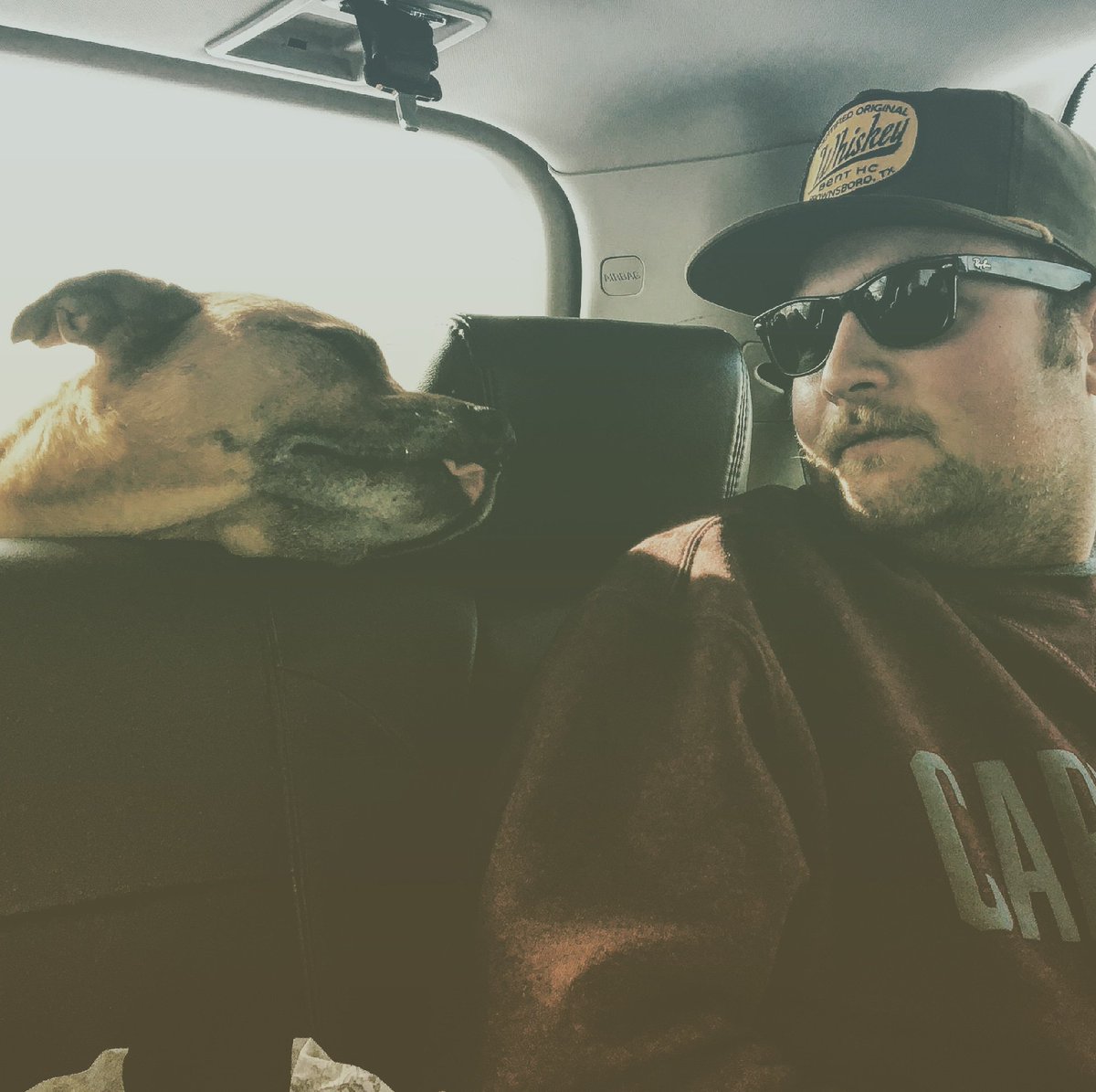 Blake9051's tweet photo. I just want a dog of my own... https://t.co/CUqcnGDUn2