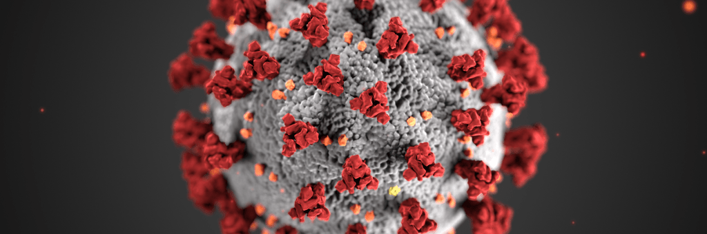 almostadoctor's tweet photo. Should I be worried about Coronavirus? https://t.co/L5qD6yN2vq https://t.co/fKMNYQhTbs