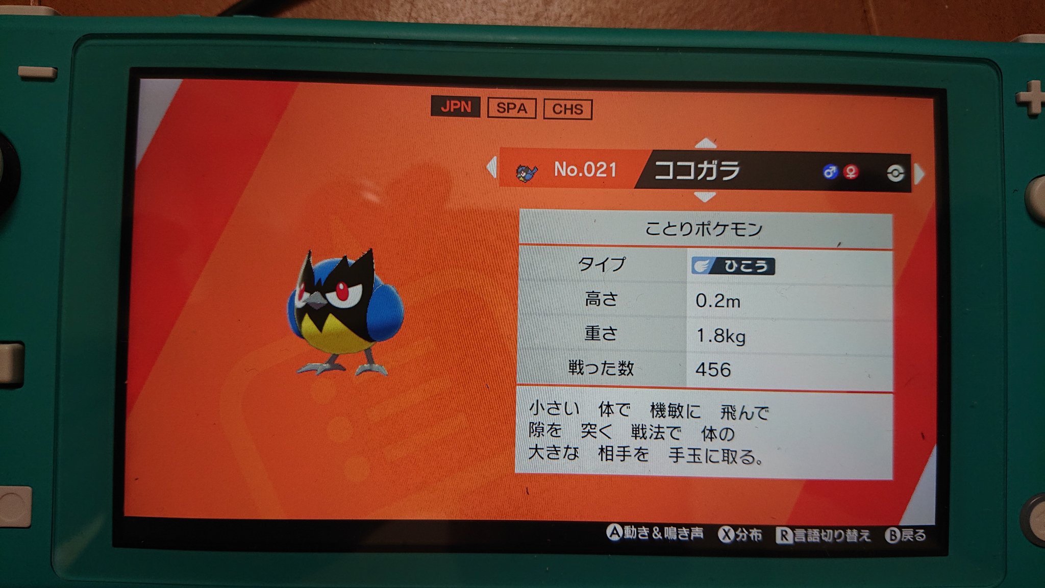 ゼロサキ Al Twitter 剣盾初色違い 500匹より前に来たラッキー 可愛いからそのまま鑑賞用にしようかな 次はプラチナ でゲットできなかったヨーギラスタマゴ色粘りかな 国際孵化で100ちょい割ったけどそんな簡単には来ませんね 引き続きhgスイクンと共に頑張ります