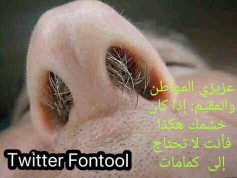 مازن محمد المجرشي tweet media