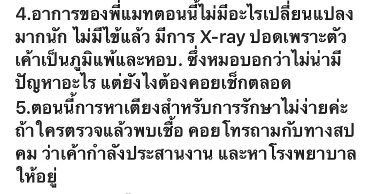 tiennokkaew tweet media