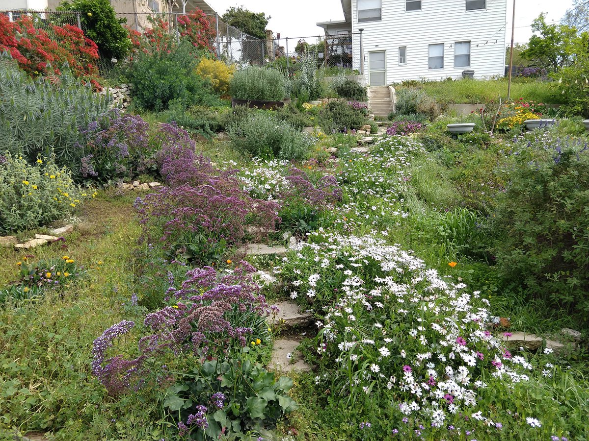 jen diamond tweet media