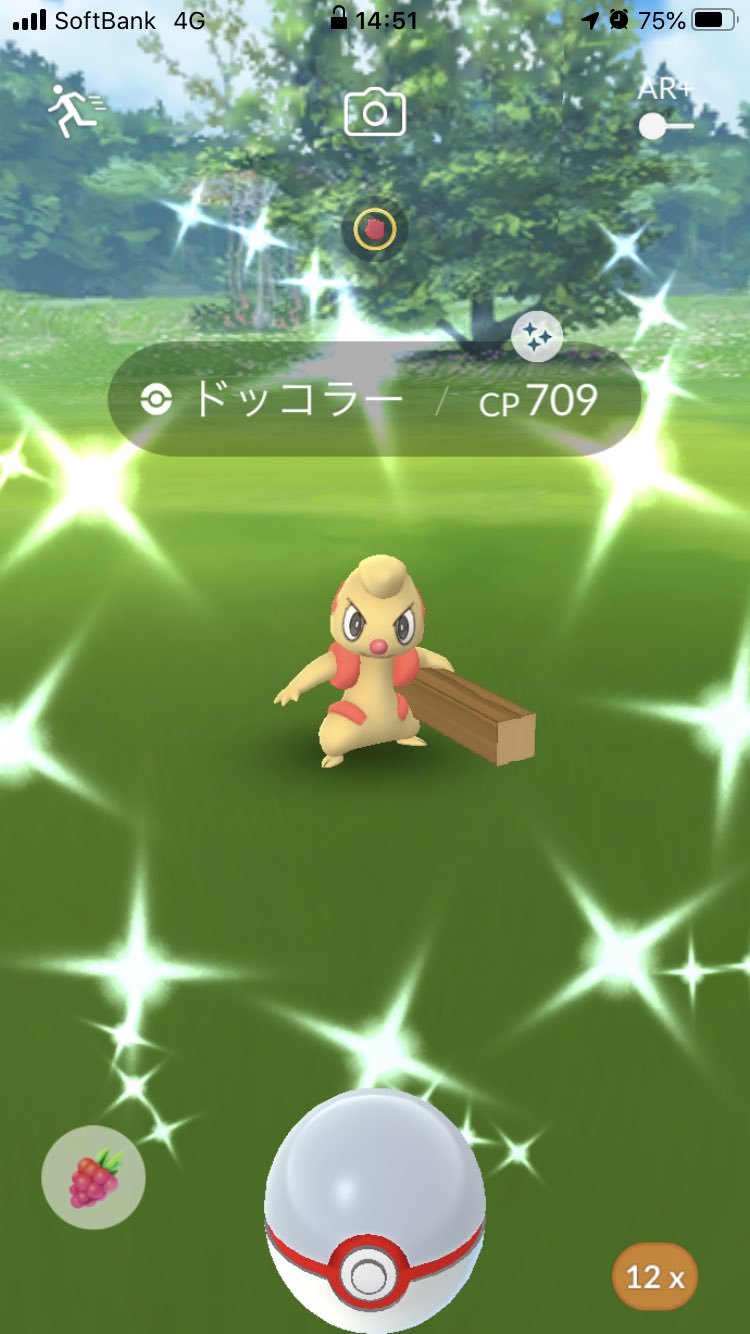 Raasco ポケモンgo 個体値低いけど 色違いドッコラー出た 色違い実装後 2回目のレイド ポケモンgo T Co H4nx7wlrwc Twitter