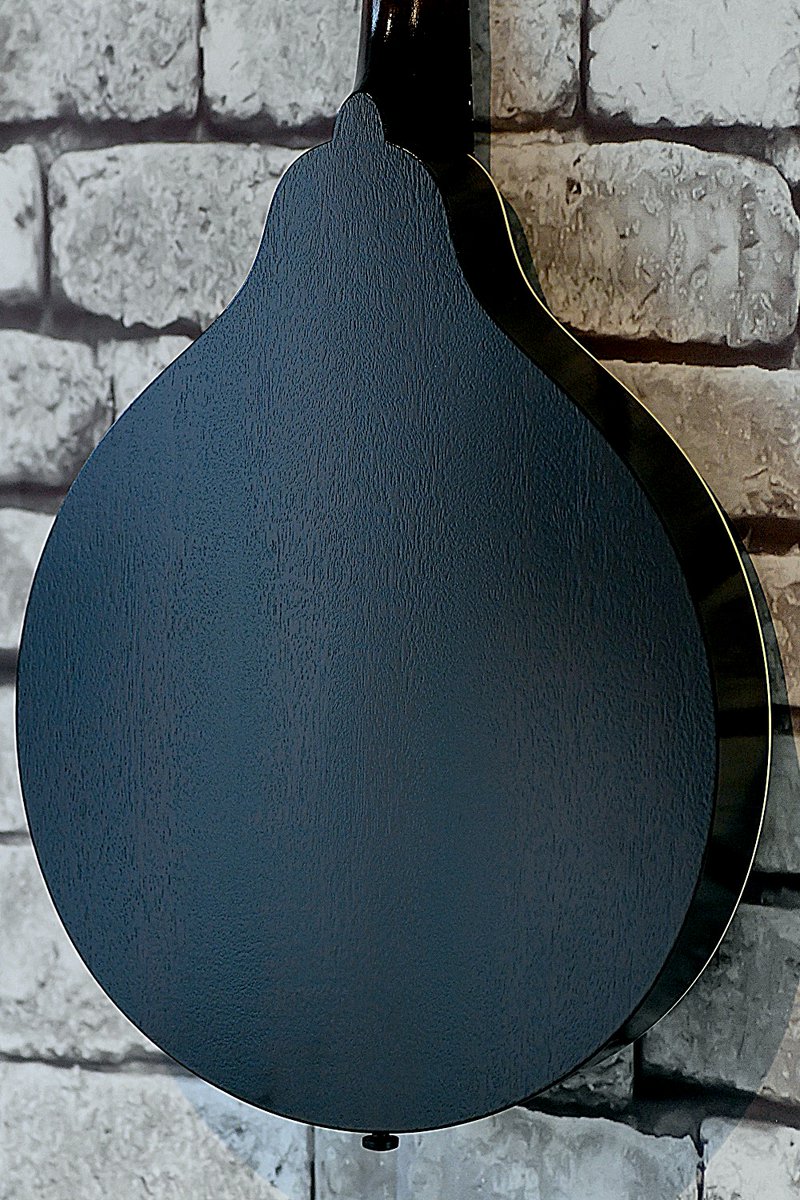 The Acoustic Music Company tweet media