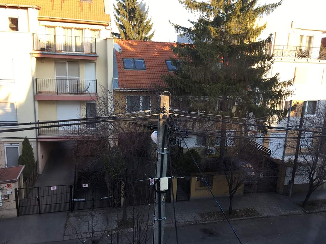 RekaSarudi's tweet photo. 6:50 a.m., Monday morning in Budapest. Silence, and most of the window blinds are down. #StayAtHome https://t.co/s8MC5PHSco