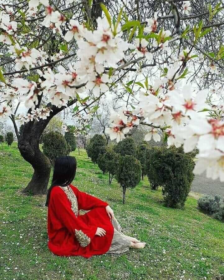 Welcome to Spring Season in Pakistan

#Tripkar #spring_season #CoronavirusOutbreak #coronavirus #CoronaVirusUpdates #coronavirusUSA #coronavirusuk #CoronaVirusGhana #coronaviruskenya #UK #Italy #Spain #SouthKorea #ChinaCoronaVirus
