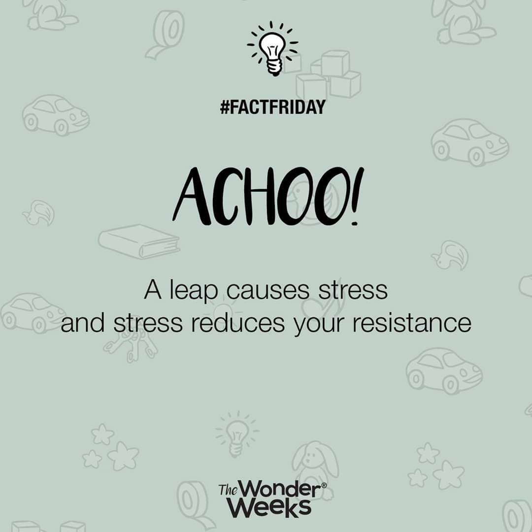 AcademyTWW's tweet photo. Is your baby sick more often during a leap?
#thewonderweeks #leap #stress #factfriday #didyouknow https://t.co/MJCJpgXVrn