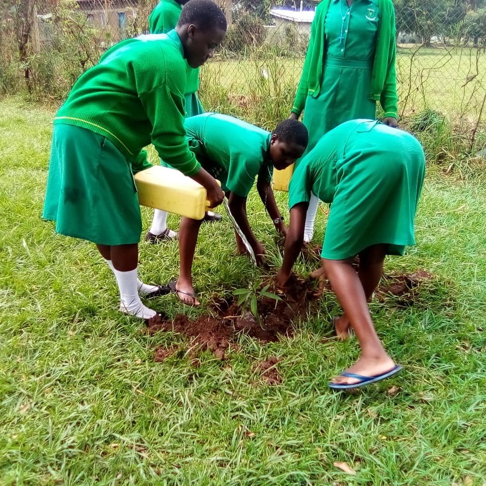 SchoolsTrees1's tweet photo. It's rainy season down here in Uganda and so it's time for tree planting. We conducted a third round of planting Ovacado seedlings at St Francis Girls School Kigulu- Iganga. These seedlings were raised by the students under our guidance.Change starts with you. https://t.co/860xDYEA5U