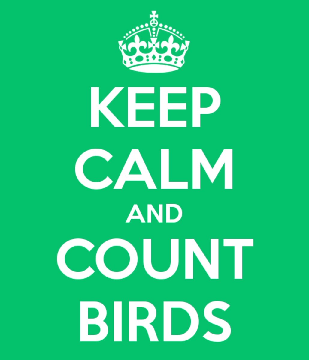 MmeAudubon's tweet image. Parents with children at home, those self-isolating, how about doing #CitzenScience? Count birds, insects, mammals, etc in your garden @BTO_GBW. Look for signs of change in the natural world with @WoodlandTrust Nature’s Calendar @DrJaninaRamirez @theAliceRoberts @ChrisGPackham