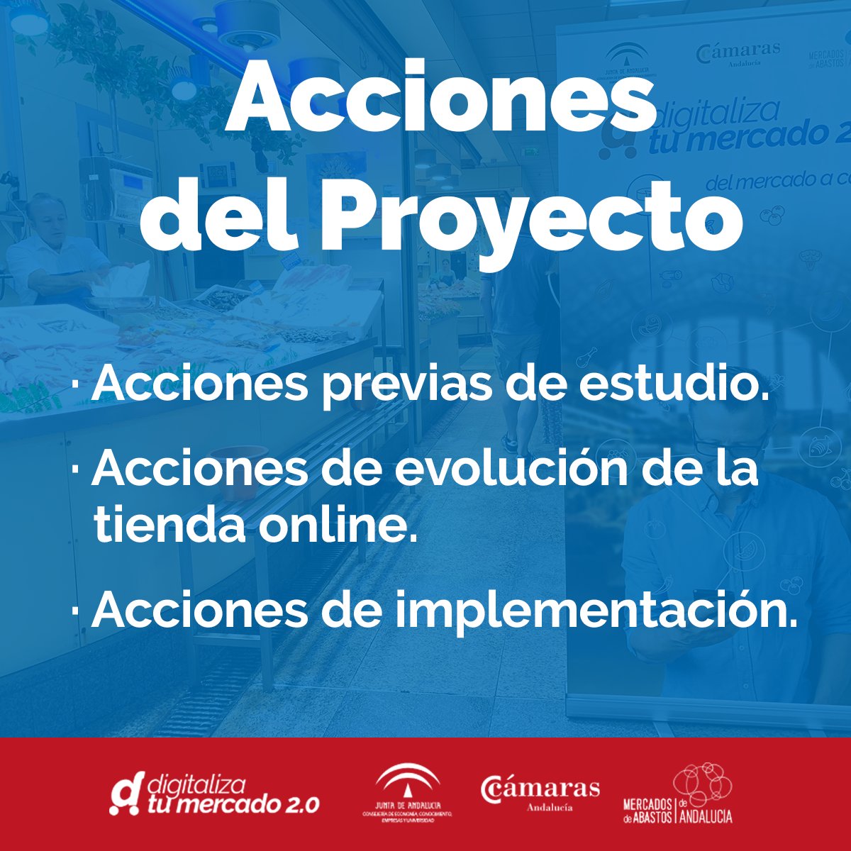 Digitaliza Tu Mercado 2.0 tweet media