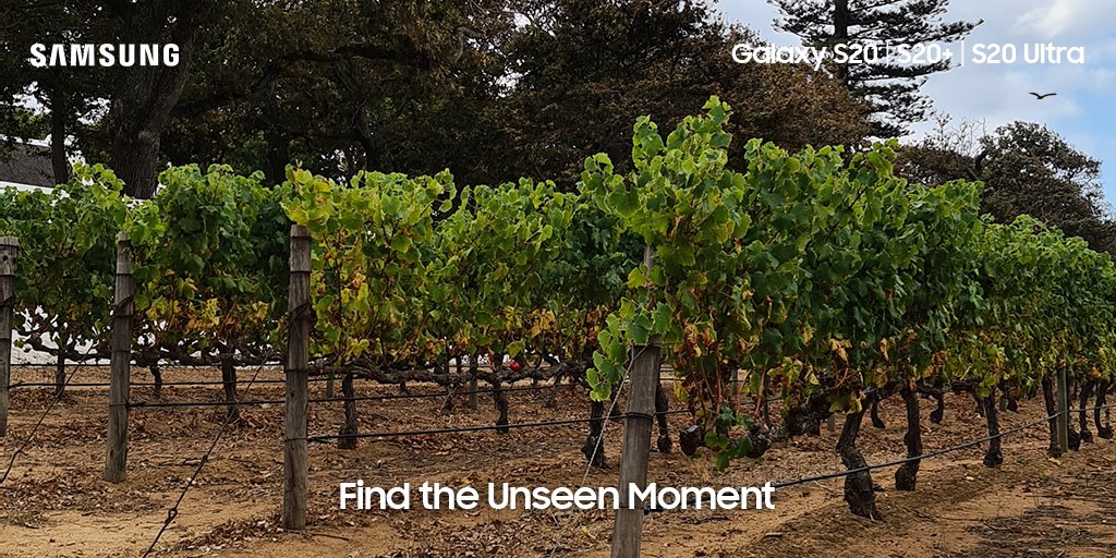 KFMza's tweet photo. Looks like you need an extra helping hand! 
We need 750 retweets to unlock a clue... 
BUT we'll also be doubling the money to R10 000! 
You know what to do... #GalaxyS20 #S20Unlocked https://t.co/Q6BRO4N4Nd