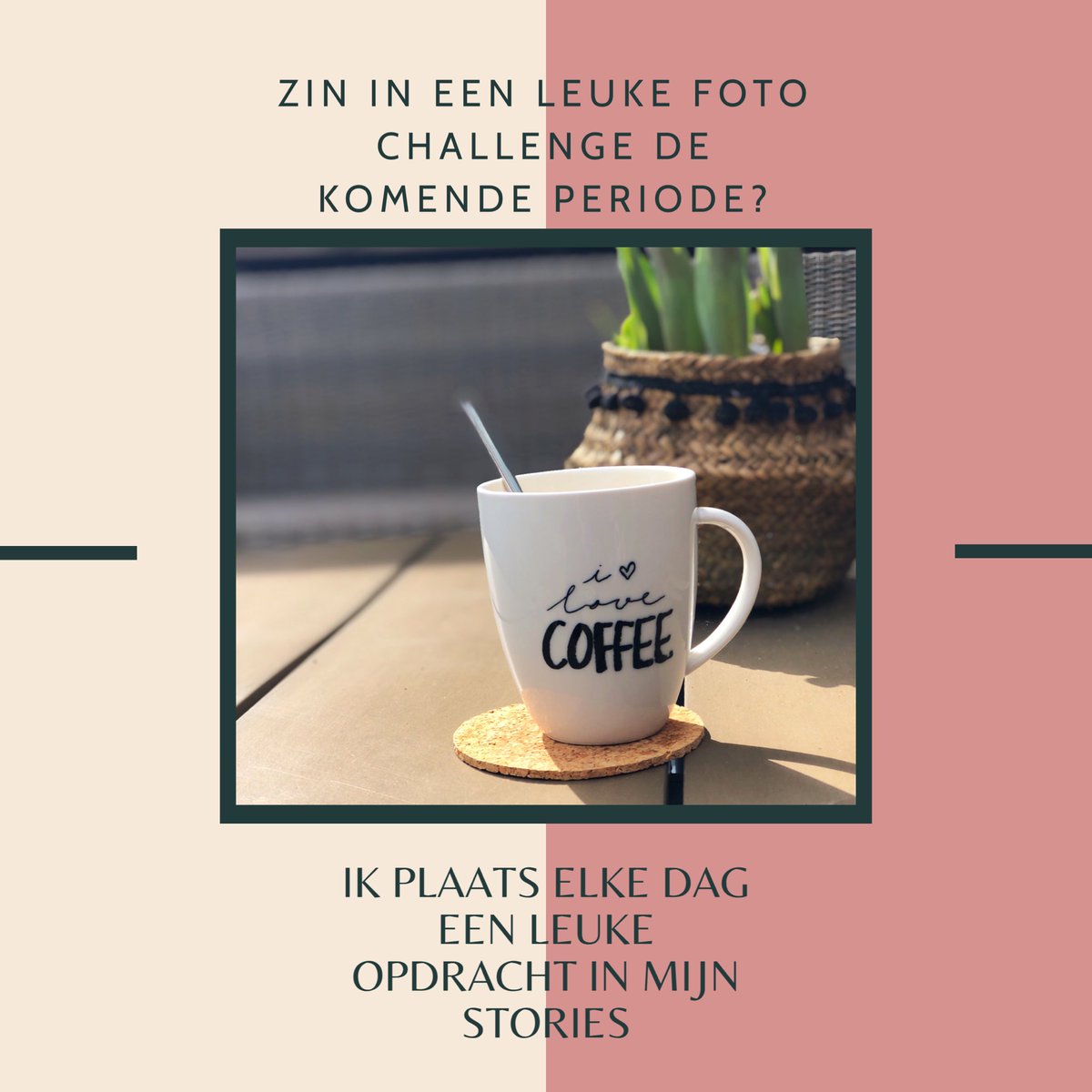 CamPuur's tweet photo. Voor diegene die van fotografie houden (mag ook met je mobiel) en/of wat leuks te doen willen hebben de komende #Corona periode, heb ik een #fotochallenge op instagram georganiseerd. Elke dag geef ik in mijn stories een nieuwe opdracht. Doe je mee?Kijk op https://t.co/mG9X20mLiO https://t.co/nGm4srI4uW