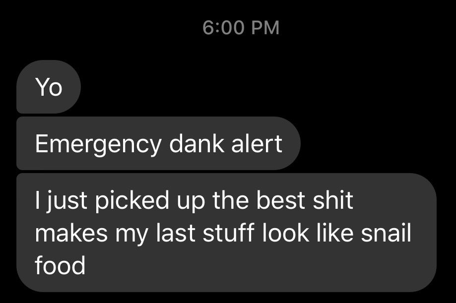 Samantha12Sue's tweet photo. my dealer > #DankAlert #dank #weed #420 #lit #dealer #funny #smoke #toke https://t.co/ez4m9Nk5r1