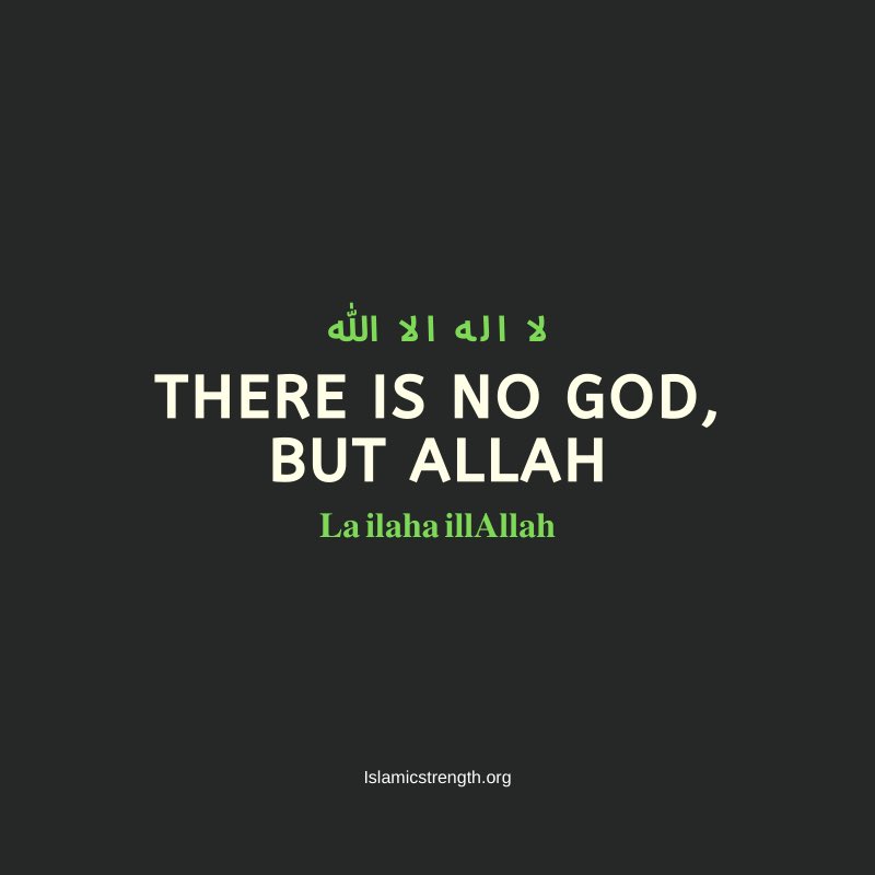 Musa_i_Musa's tweet image. 💙💙💙