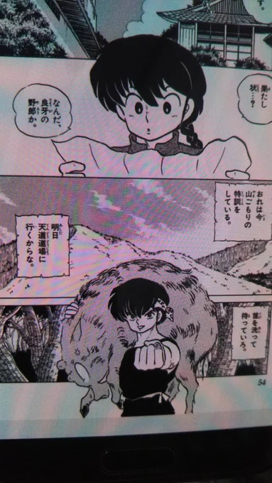 今ねサンデーウェブリのアプリでらんま全巻無料で読めるの...
久しぶりに読み返したから忘れてると思ったら、読みこみすぎてて、全部のコマを私の細胞が覚えているw忘れてたって感じじゃないw
良牙くん相変わらず全てのコマでかっこかわいすぎて愛しい❤このイノシシ担いだ良牙くん最高に可愛い? 