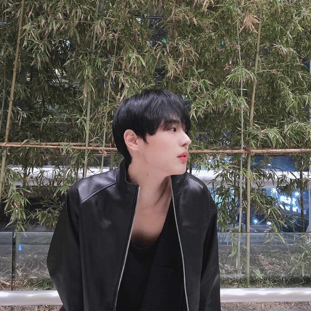 plzzbemyboy's tweet photo. 강아진줄알앗는데여우엿슴 https://t.co/Jqd3kdjYRr