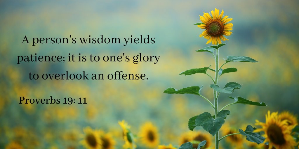 KimBurk_writer's tweet photo. #bibleverseoftheday #bibletruth #biblequote #dailyscripture #biblescripture #proverbs1911 https://t.co/z6r0BZTJ07