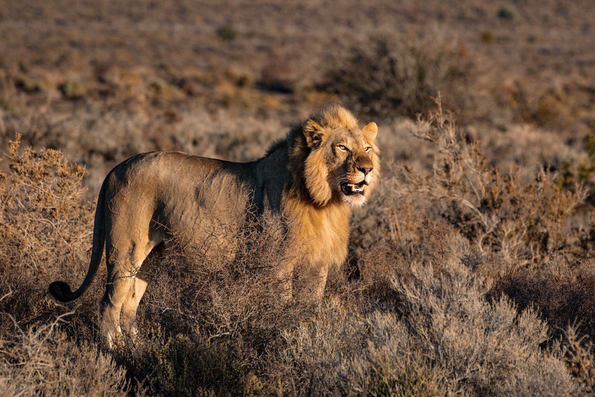 travellocal_sa's tweet photo. Stronger Together!

Please don't cancel your trip, postphone it. Save Tourism!

#coronatraveladvice #travellocalsa #covid19 #tourism #localbusiness https://t.co/D5lUhseisI