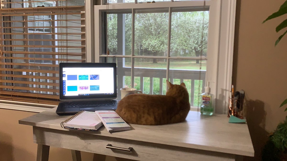 Here we are taking on day one! Team meetings, emailing parents and staying on top of paperwork needed to be done. Kitty here seems to enjoy this a little more 😉