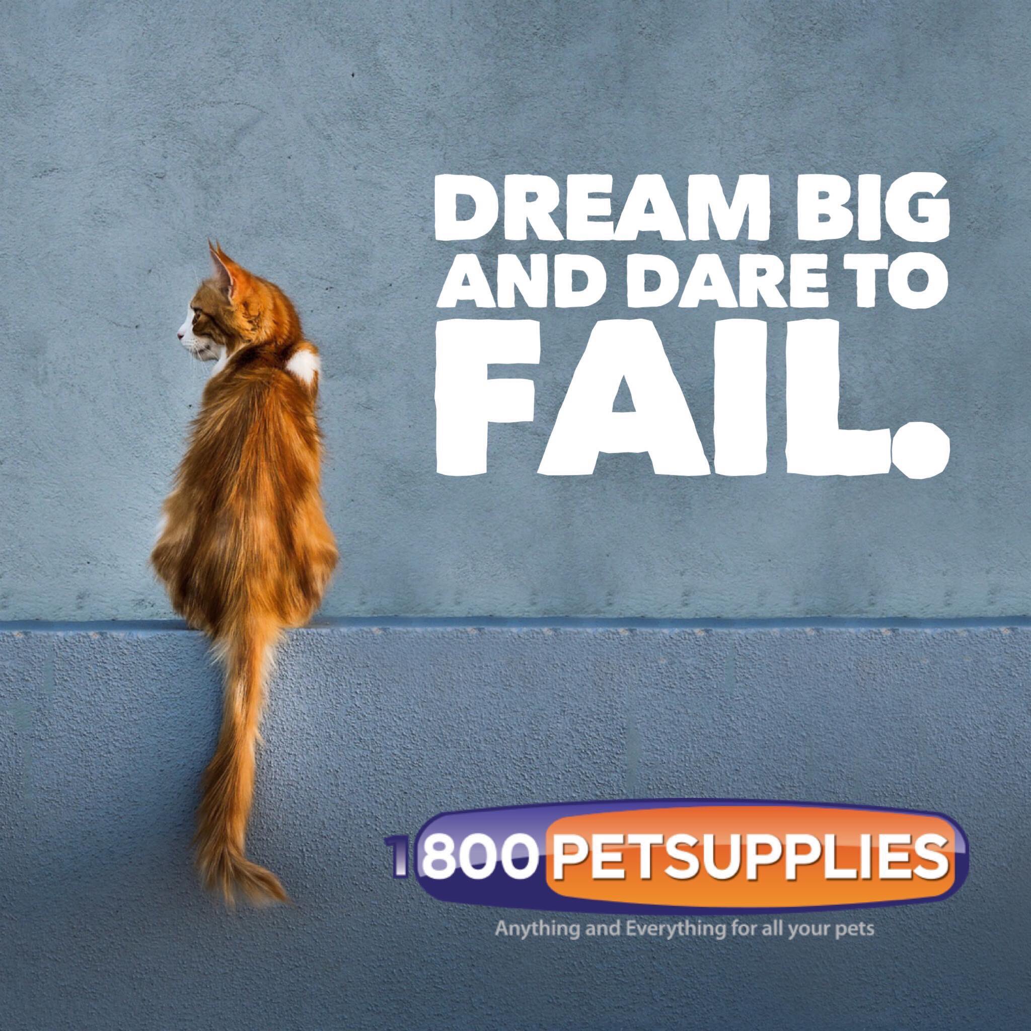 800petsupplies top