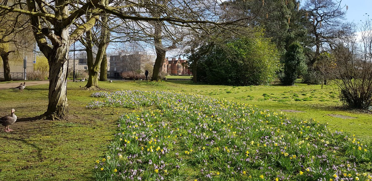 <a href="/UoyGrounds/">uoy_grounds_and_gardens</a> campus is looking lovely today