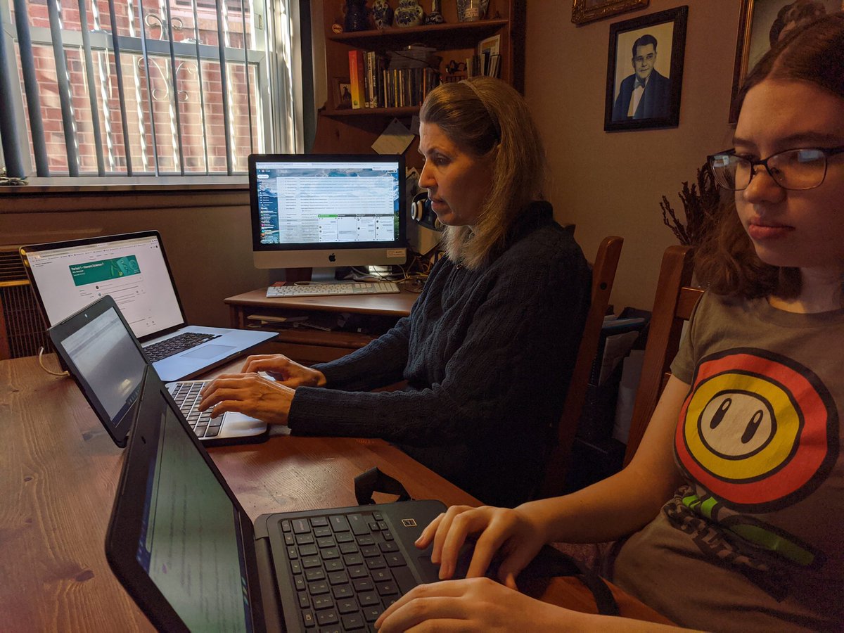 theresa_milos's tweet image. Teacher and student virtual  school #weelearn