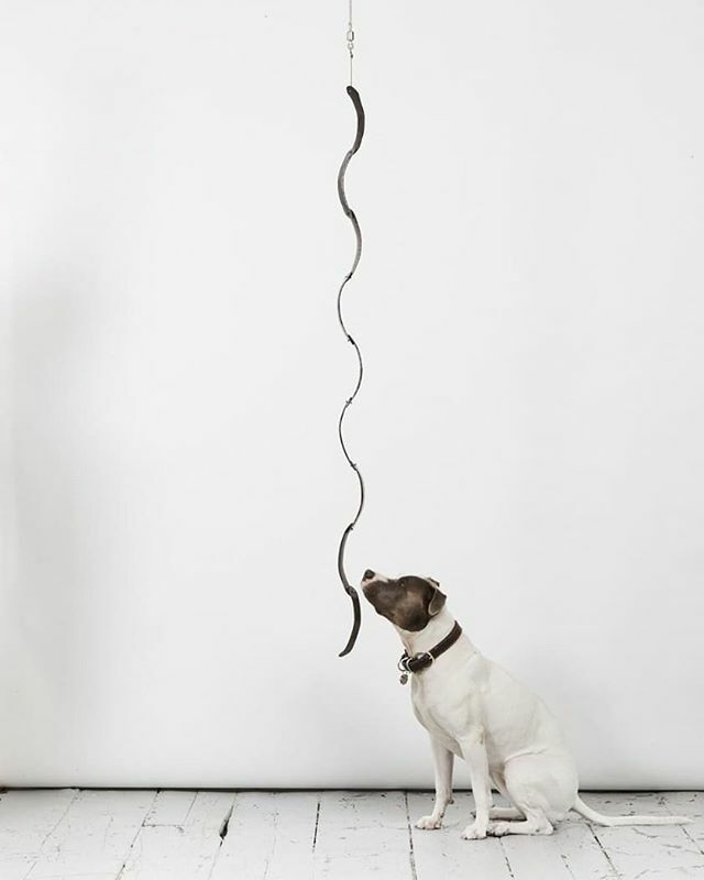 Wave Sculpture (bronze and sterling silver 32' x 3/4 x 1/2 inches) with sweet Gracie 🐶 bit.ly/2IPAMkH