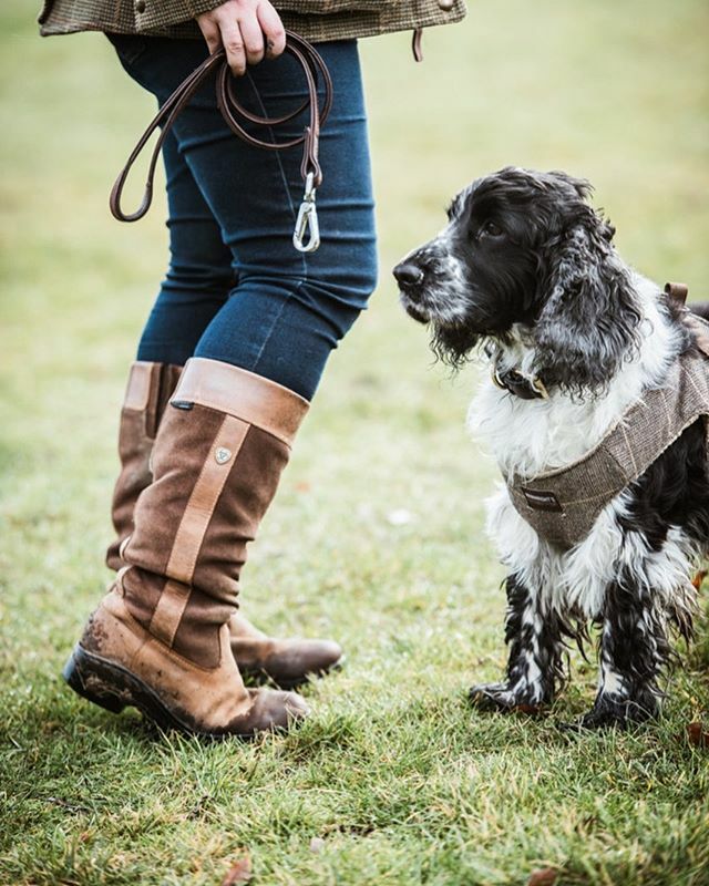 Country dog walks with nobody else in sight are not cancelled! #notcancelled ift.tt/33jOJkv