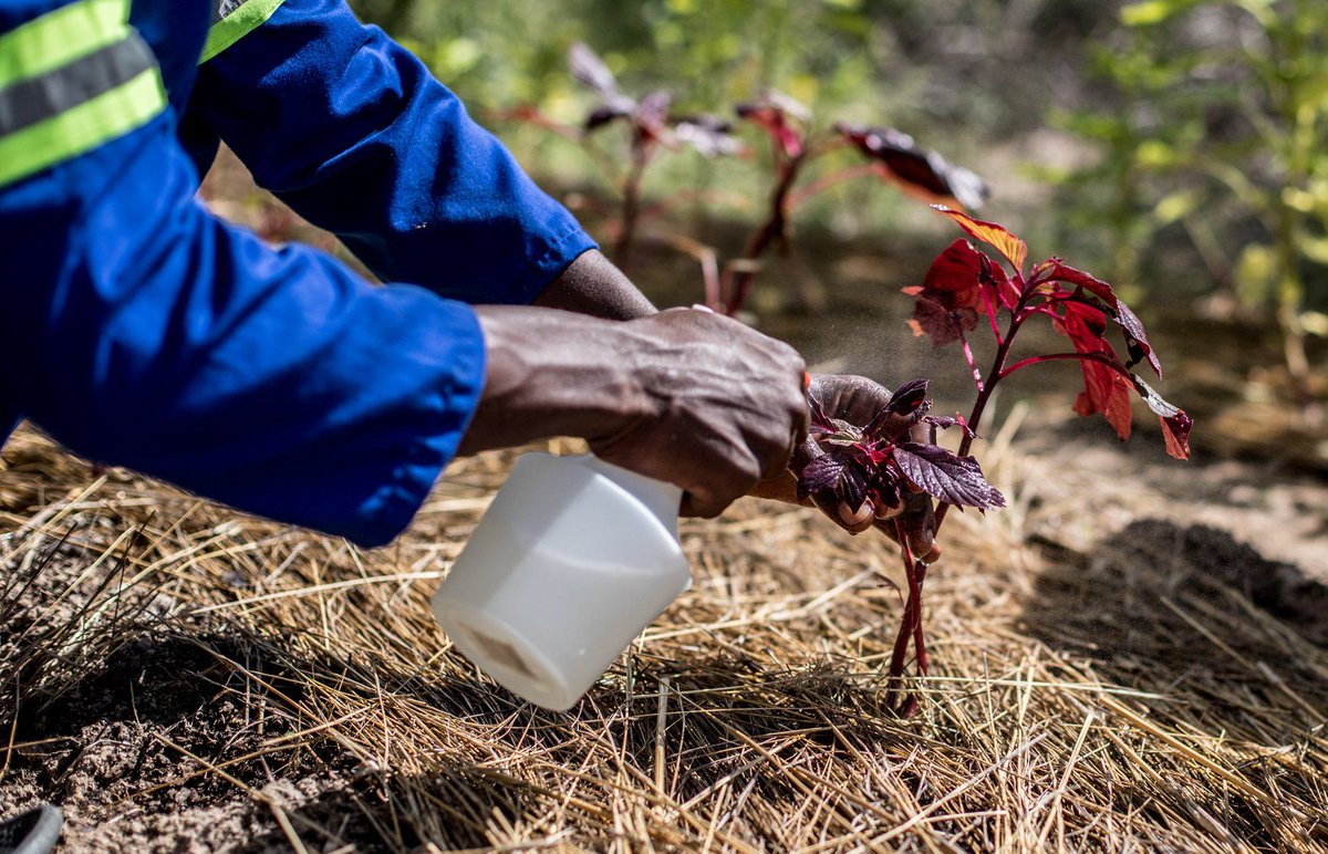 "One can choose to go back toward safety or forward toward growth. Growth must be chosen again and again; fear must be overcome again and again." - Abraham Maslow