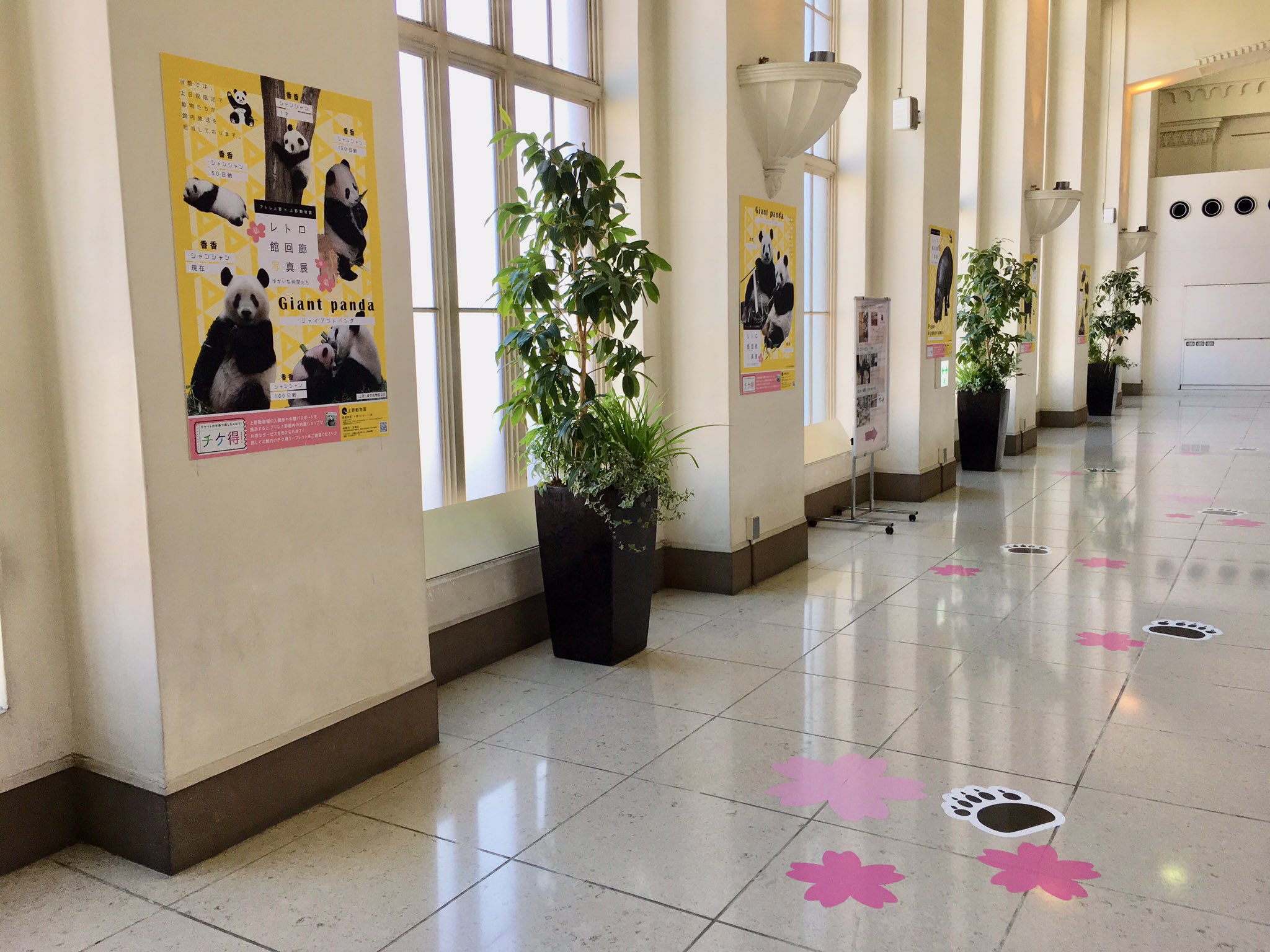 上野案内所 UENO Information Center【公式】 on X: 