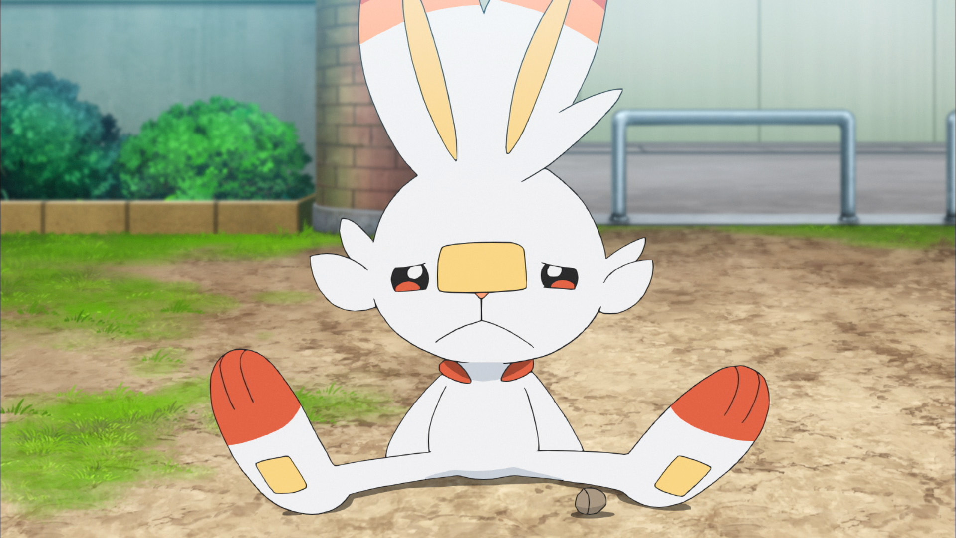公式 ポケモン情報局 昨日の アニポケ では ヒバニー がひのこを覚えようと大奮闘 超一生懸命なヒバニーの姿をまだ見ていない そんな方はこちらからどうぞ T Co Jbx4y2wpt2 T Co Mby1msbgis Twitter
